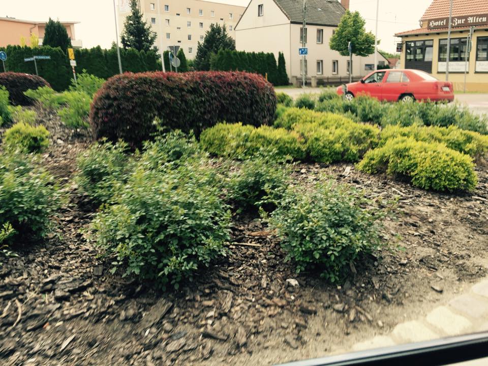 Der Blumenkreisel in Jessen wurde vom Gewerbeverein Jessen neu gestaltet.