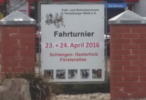 Fahrturnier in Schlangen-Oesterholz