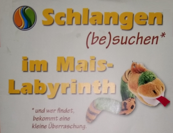 Das Maislabyrinth in Schlangen wartet auf tolle Besucher