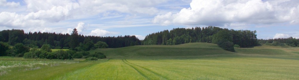 Der Rundumblick des Landhauses Heidehof