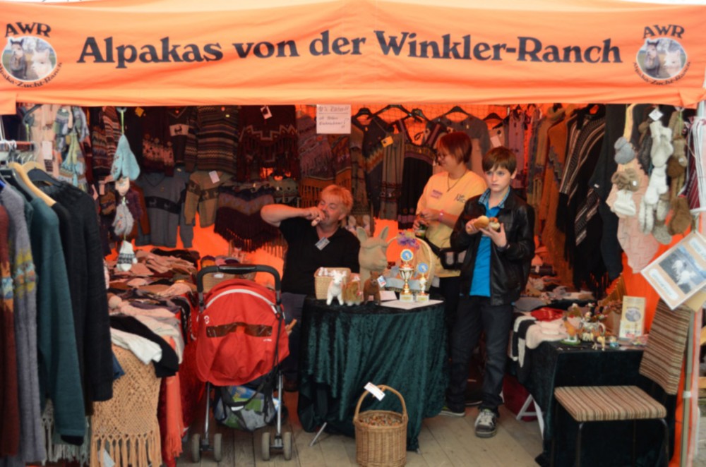 Alpakas von der Winkler-Ranch in Frohburg