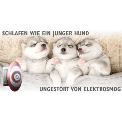 schlafen wie ein junger hund