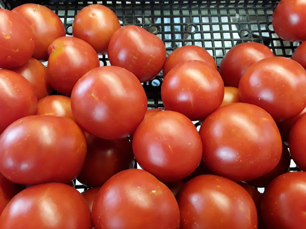 !!!TOMATEN SATT!!!