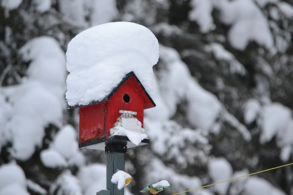 Haben Sie Ihr Haus schon winterfest gemacht?