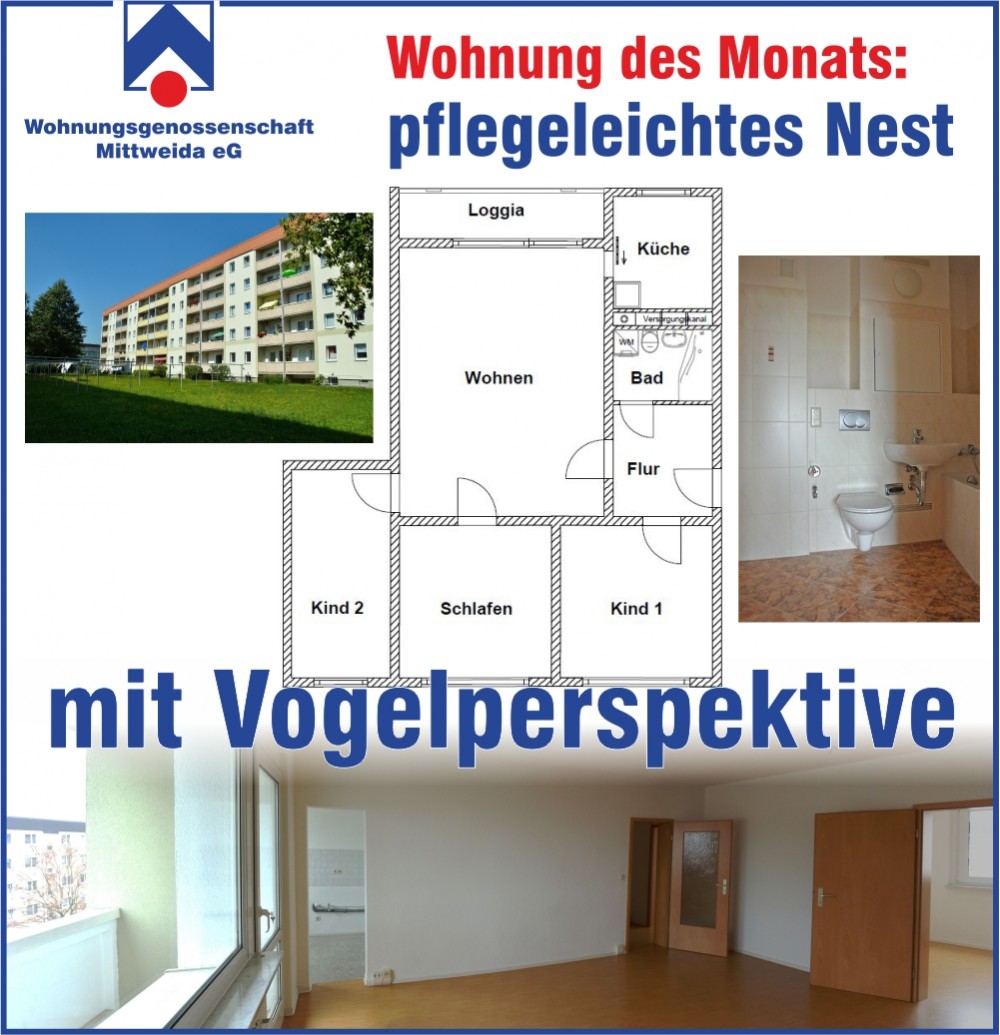 unsere Wohnung des Monats