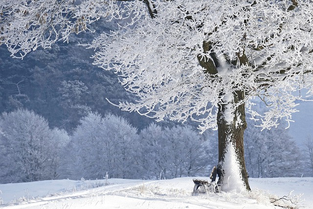 Februar aktuell